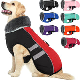 QBLEEV warm dog coat front view showing snug fit and plush fleece lining for cold weather