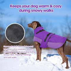 QBLEEV reflective strips boost visibility for safe evening outings.
