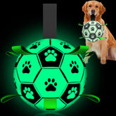 QDAN dog ball glows in the dark for nighttime fetch.