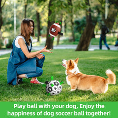 QDAN dog balls ideal for pool and beach play with splash-friendly fun.
