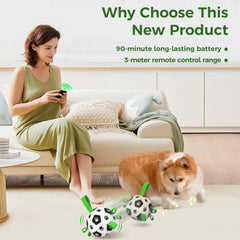 QDAN dog ball with nylon straps supports training and interactive games