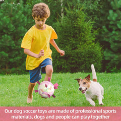 QDAN dog balls include a pump and needle adapter for quick inflation.