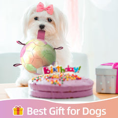 QDAN dog balls designed for water play, safe for pool, lake, or beach.