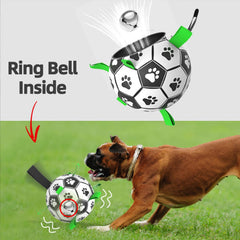 QDAN ball with longer strap aids tossing and control.