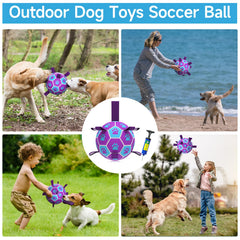 QDAN dog soccer ball 8-inch pool-friendly with reinforced seams for splashy play.