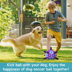 QDAN dog soccer ball 8-inch pump-and-needle included.