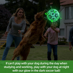 qdan glow dog ball with nylon straps for erratic bounce and grip