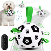 QDAN interactive dog toy remote-control in action for engaging playtime