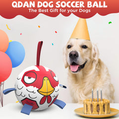 QDAN dog soccer ball with straps close-up showing reinforced seams for durability.