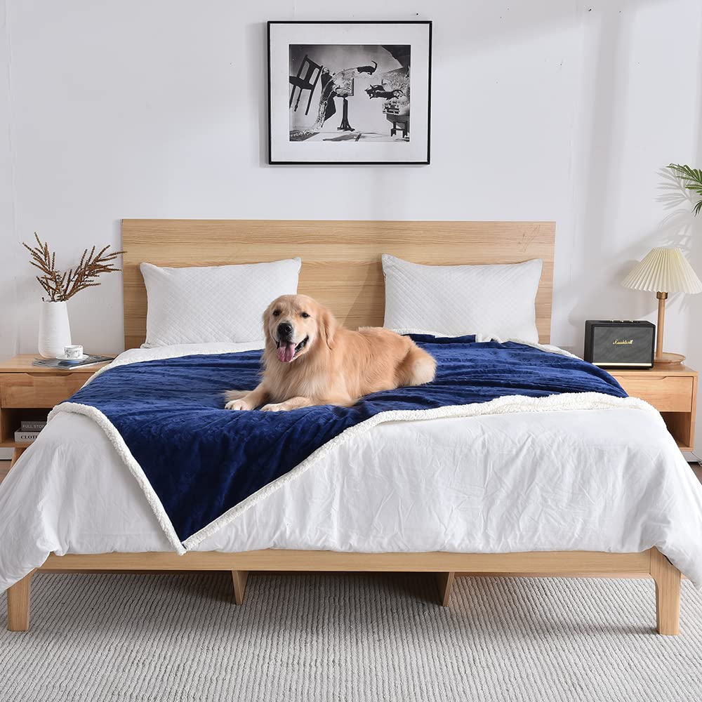 Qeils dog blanket waterproof membrane closeup showcases protective layer for clean furniture.