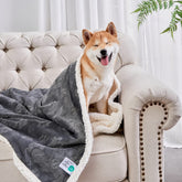 Manta Qeils para perros pequeños, vista frontal, suave y cálida para casa.
