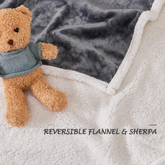 Qeils OEKO-TEX certification label ensures fabric safety for pets.