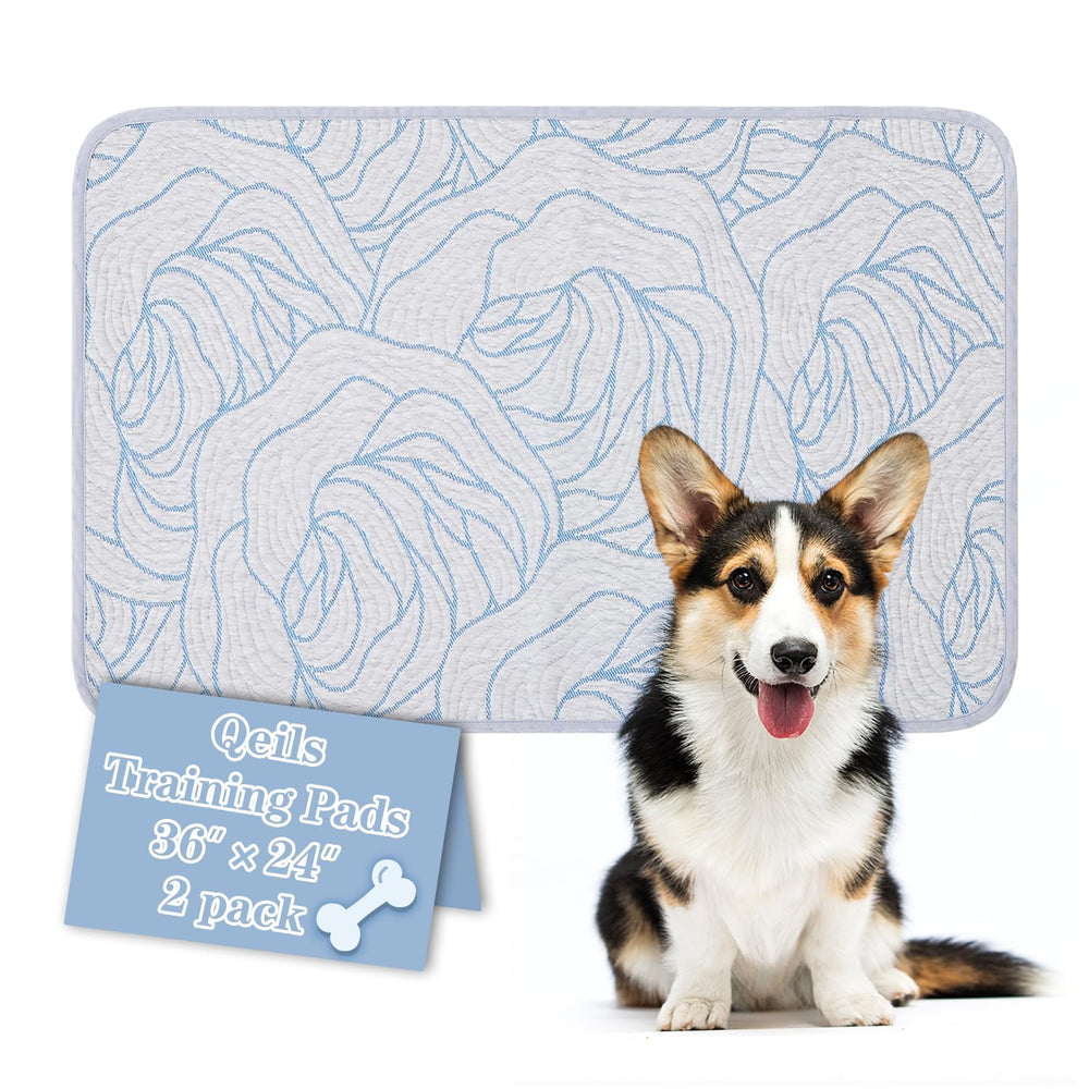 Qeils Pee Pad 36x24 shows a super-absorbent surface for moisture control.