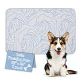 Qeils Pee Pad 36x24 shows a super-absorbent surface for moisture control.