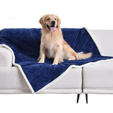 Qeils waterproof blanket on bed protects surfaces from spills and pet messes.