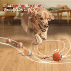 QGI interactive dog toy motion sensor activates randomized rolling for curious dogs.