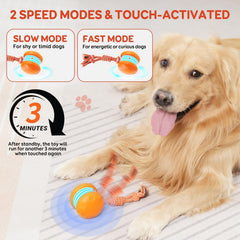 QGI interactive dog toy slow-mode promotes safe, gentle play for small or timid dogs.