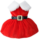 Qidelong dog Christmas dress Santa-style on red velvet for festive photos