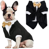 Qidelong dog tuxedo with gold bow front for wedding-ready charm