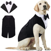 Qidelong tuxedo full ensemble on a dog for a formal look.