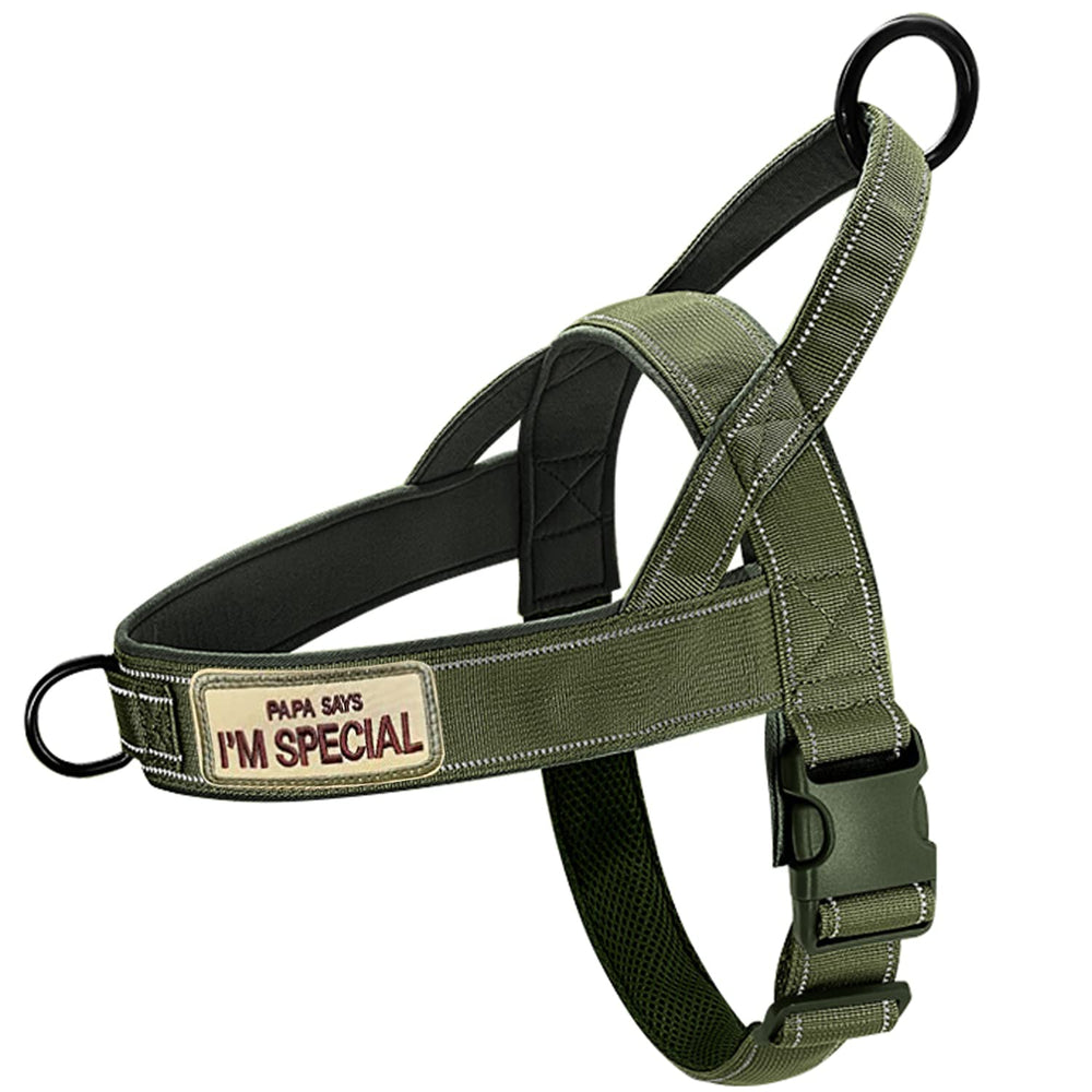 QIFBYFB Green No-Pull Harness top view highlights comfortable fit for daily walks