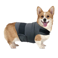 QIYADIN dog anxiety relief shirt front view showing calm posture for fireworks