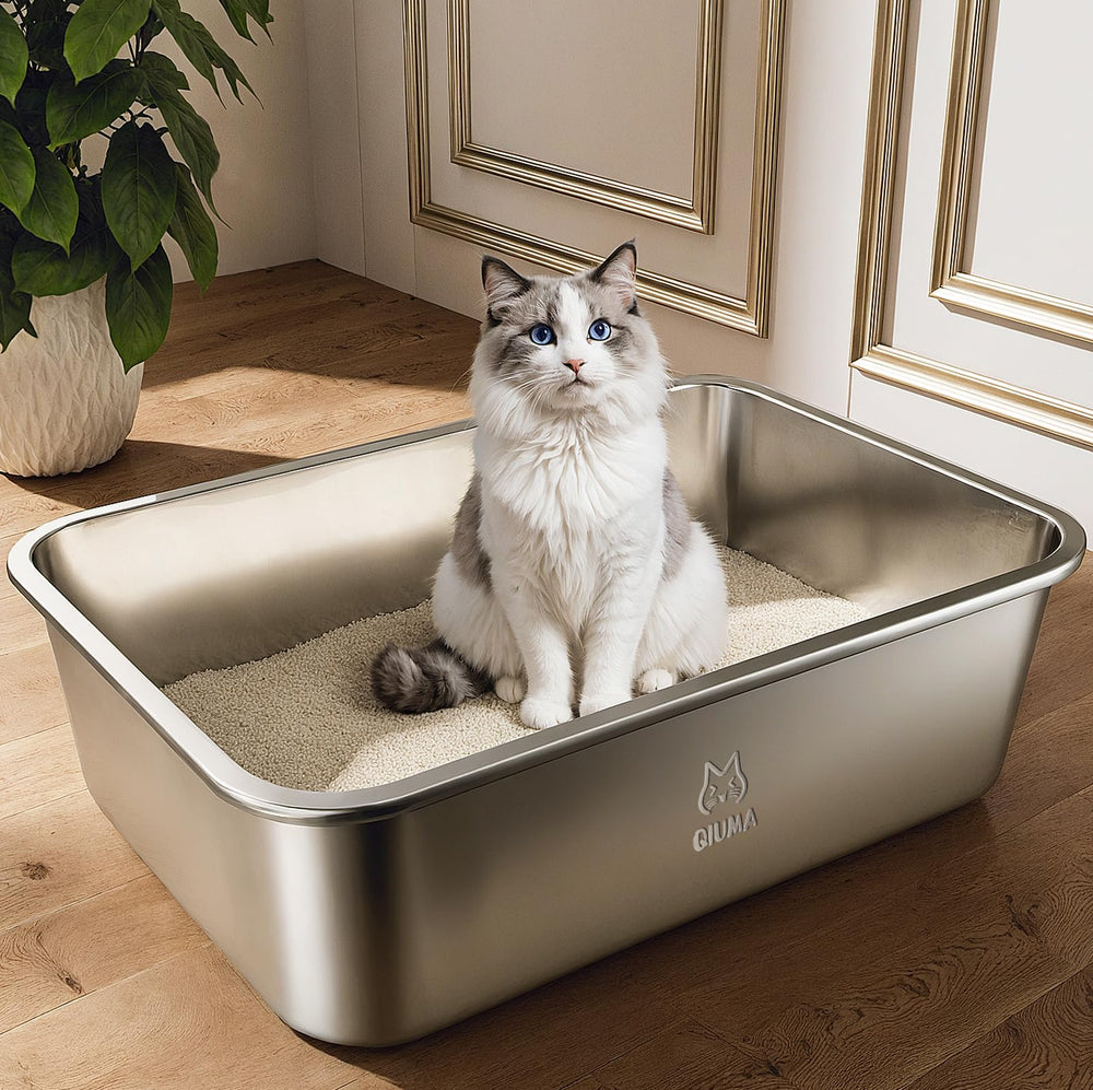 Qiuma stainless steel litter box top view highlights compact space for small to medium cats