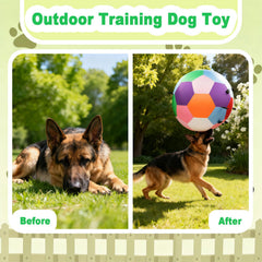 Qlfyuu Herding Ball outdoor-carry strap makes transport to parks effortless.