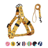 QQPETS arnés y correa ajustables para paseos cómodos y controlados.