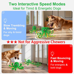 Qraxond interactive ball bouncing action demonstrates engaging play for active dogs.