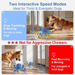 Qraxond Octopus ball in action showing dynamic bouncing for canine engagement