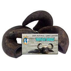 QT Dog buffalo horn long-lasting chew delivers natural chewing satisfaction.