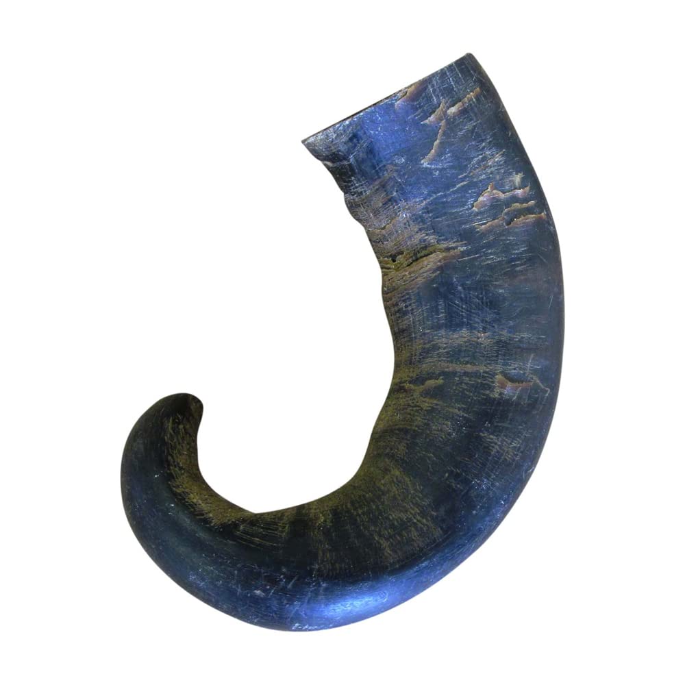QT Dog buffalo horn medium 3-pack provides a long-lasting chew that supports dental care.