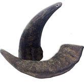 QT Dog Buffalo Hornz wrap view showing long-lasting, dental-care dog chew