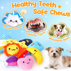 QTwoof weather clouds plush squeaky toy adds cozy comfort to fetch.