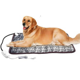 QUASILOVE heated dog bed front view shows roomy space for large pets