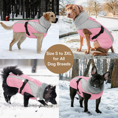 Queenmore dog coat buckle detail highlights quick on-off convenience.