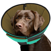 Queenmore dog cone soft fabric closeup highlighting comfort for recovering dogs.