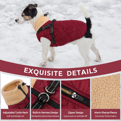 Queenmore built-in harness front view simplifies dressing and secure walks.