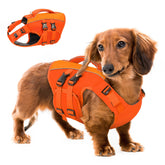 Queenmore dog life jacket with high flotation foam supports swimming