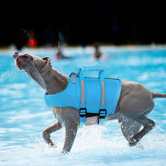 Queenmore dog life jacket blue rescue-handle supports quick lift from water