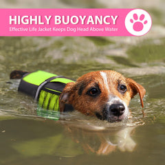 Queenmore dog life jacket with rescue handle for rapid lifting in water scenarios.