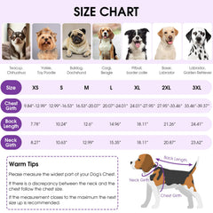 Queenmore dog surgery recovery shirt with elastic brims ensures snug fit.