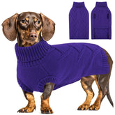 Queenmore dog sweater in orchid color on a medium dog for a chic winter look.