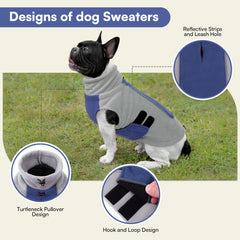 Queenmore dog jacket with reflective belt for safer night walks.