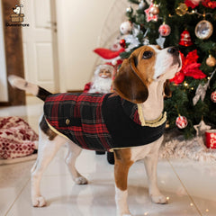 Queenmore dog winter coat back pocket highlights convenient storage for treats and bags