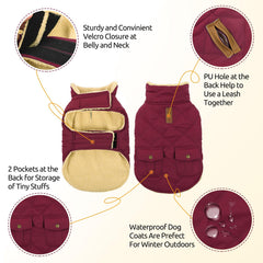 Queenmore dog winter coat back pockets store snacks or bags during strolls.