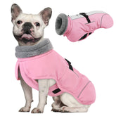 Queenmore dog winter jacket with waterproof fabric shields rain during walks.