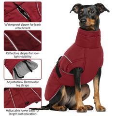 Queenmore red dog coat showing leash hole for easy outdoor attachment