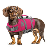 Queenmore small dog life jacket front view, boosting visibility and buoyant support during beach outings.